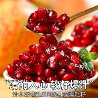 [熊猫鸟]会理突尼斯软籽石榴 净重5斤 大果 单果300g-400g 鲜孕妇水果 坏果包赔