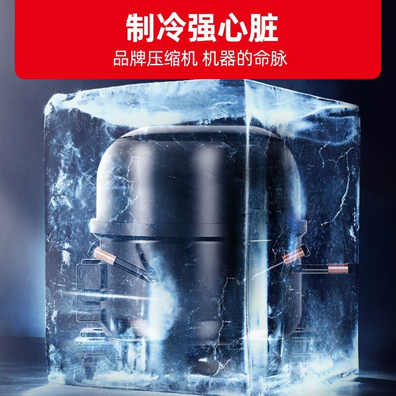 星星(XINGX)LSC-230YPE 230升 立式冰柜 保鲜柜 饮料柜 商用冷藏展示柜 饮料超市商店便利店