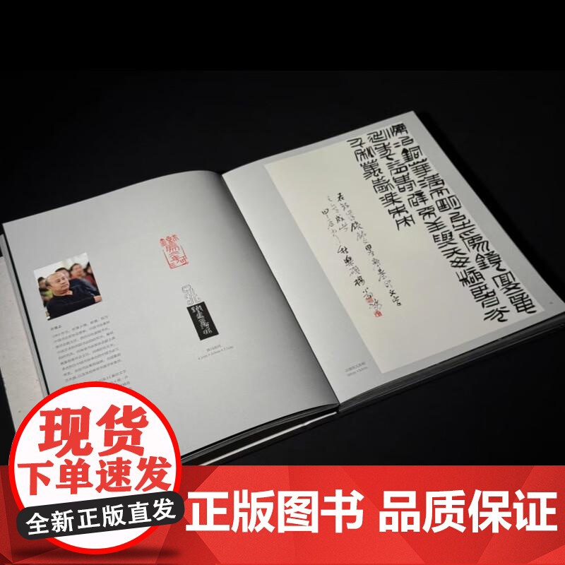 [多版本可选]镜相印象:当代镜铭风格篆刻创作国际学术提名展作品集 沈乐平著上海书画出版社艺术收藏鉴赏书法篆刻图书高清大图