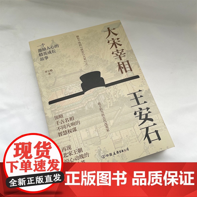 大宋宰相王安石 领略千古名相的智慧权谋 历史人物传记 着重还原了王安石在经学、易学、诗文等方面的地位和贡献高清大图