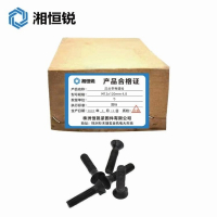 湘恒锐 沉头带榫螺栓 M20×55mm 个