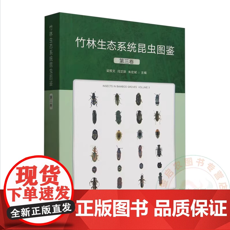 竹林生态系统昆虫图鉴(第3卷) 9787109323759 梁照文 闫正跃 朱宏斌 编 中国农业出版社高清大图