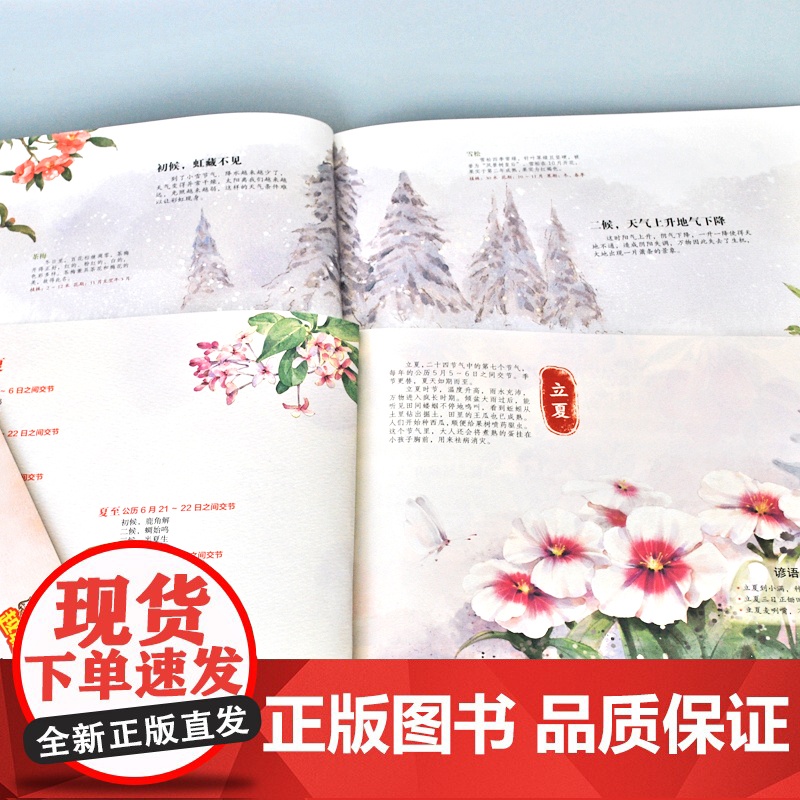 越玩越聪明藏在24节气里的秘密全4册春夏秋冬 思维牧场 思维训练语文学习文化科普绘本启蒙书 益智游戏提升 天津人民美术出高清大图