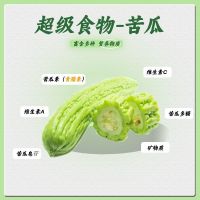 陆卢缘 桑叶双瓜茶120g桑叶苦瓜冬瓜特级煮泡组合中药材清新口气