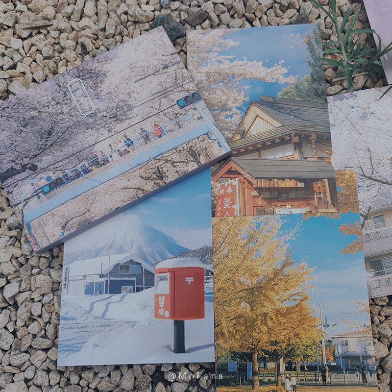 [正版]四季予你 摄影师@MoLana 28张摄影作品 大自然中四季变换春夏秋冬出类艺术明信片创意唯美自然风景文艺小清高清大图