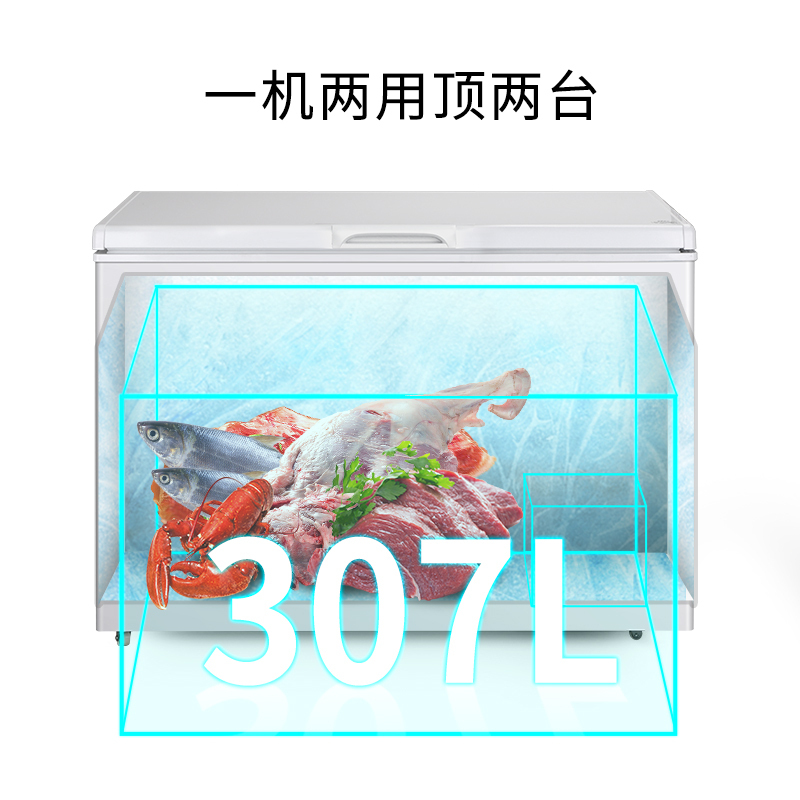 澳柯玛BC/BD-307HNE大容量家用冰柜商用一级能效冷藏冷冻卧式冷柜