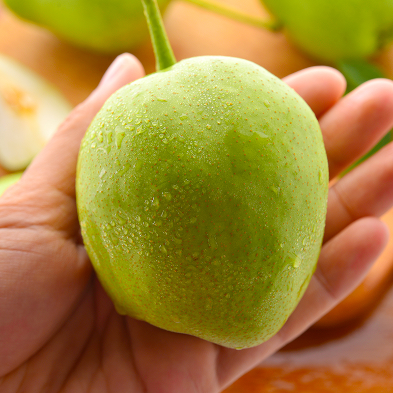 陕西清脆早酥梨5斤装香梨新鲜水果