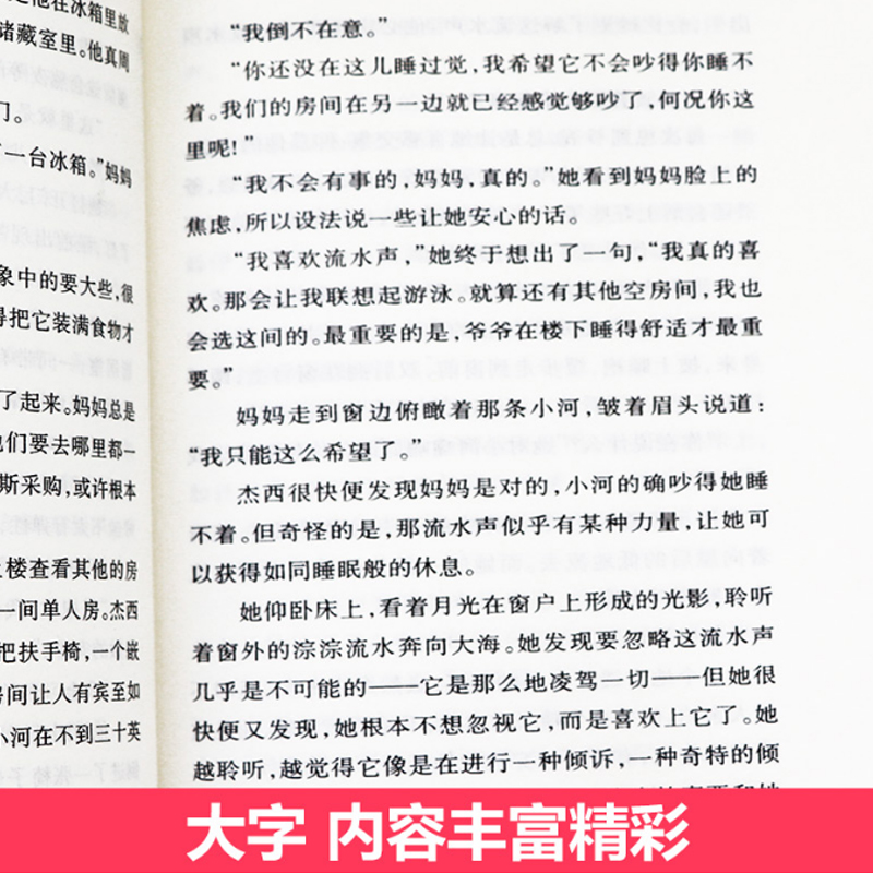 海蒂的天空 [正版]小河男孩纽伯瑞国际大奖儿童文学小说系列全套集升级版小学生三四五六年级课外阅读经典书籍新蕾出版社目常青高清大图