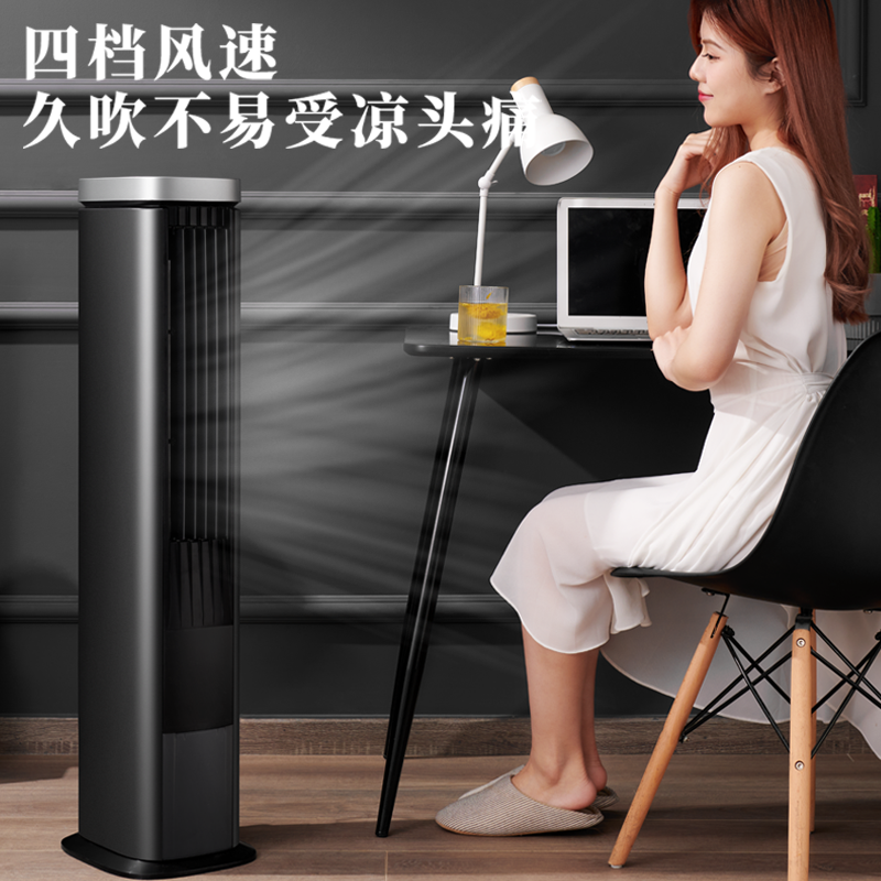 先锋(SINGFUN)空调扇电风扇空调扇水冷塔扇家用遥控冷风机等离子净化无叶风扇 DTS-S6RJD