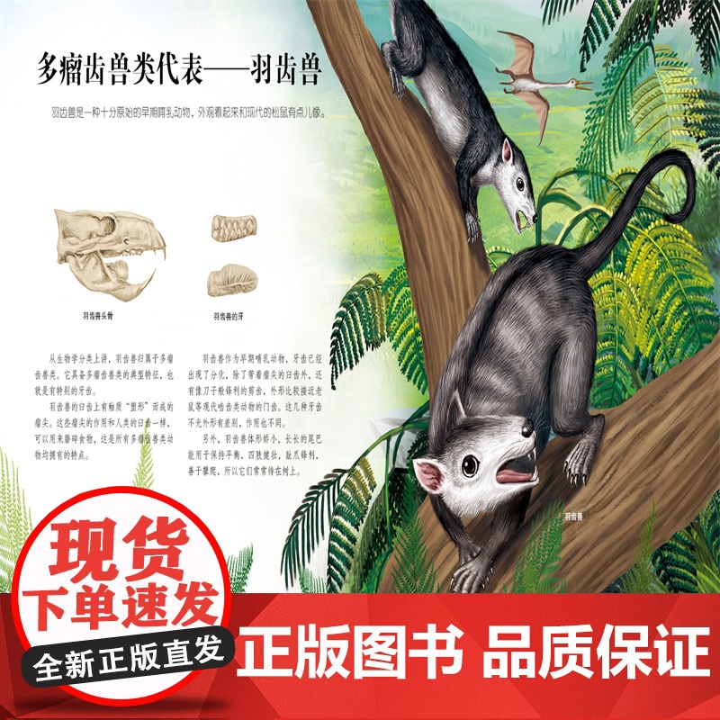 生命简史 穿越地球46亿年 探索哺乳动物 6-12-15岁儿童中小学生青少年科普读物 宇宙起源地球形成生命诞生史前世界探高清大图