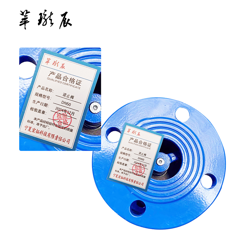 萃珑辰 逆止阀 DN50 个高清大图