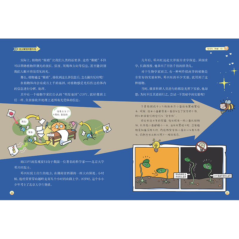 正版新书]小绿叶中的大天地匡廷云 主笔9787514878257高清大图