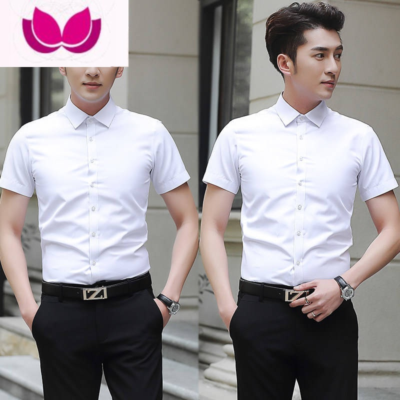 七斓白衬衫男商务正装衬衣男士短袖夏季上班工作修身免烫职业休闲寸衫
