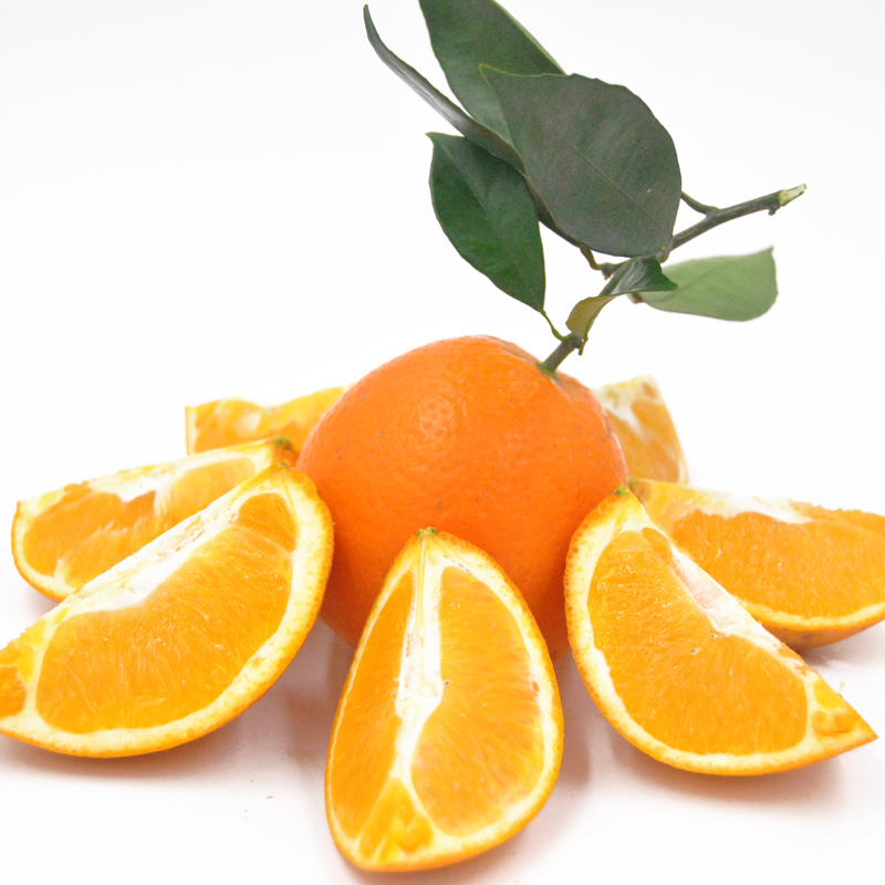 [鲜贝达]顺丰赣州脐橙一级果带箱5斤80-85mm 江西橙子 当季新鲜水果高清大图