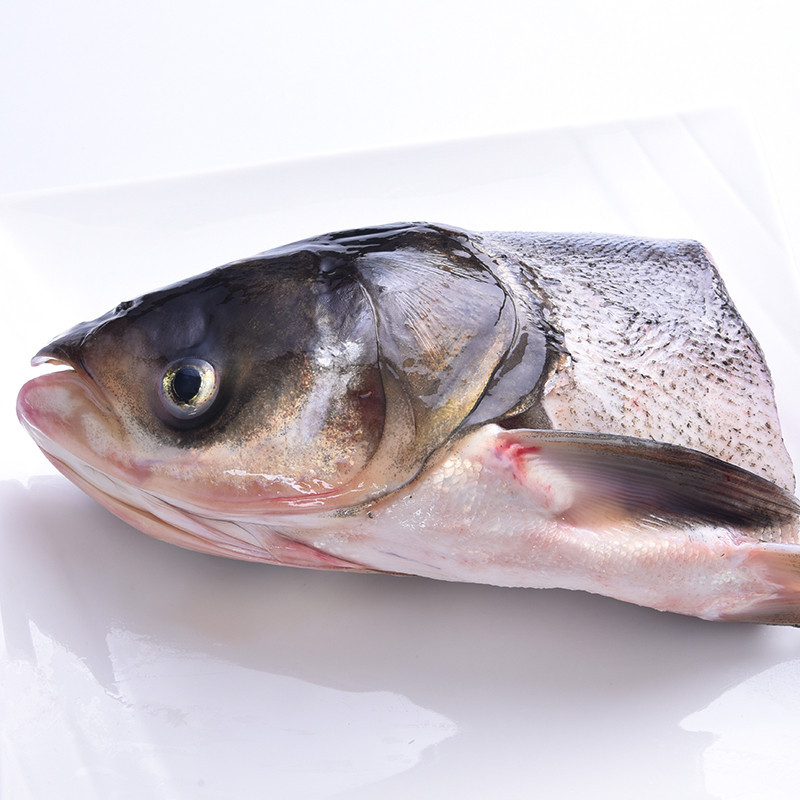 大鱼头胖头鱼头千岛湖鱼头鲢鱼头鲜活新鲜鱼头淡水鱼熬汤鱼头15kg