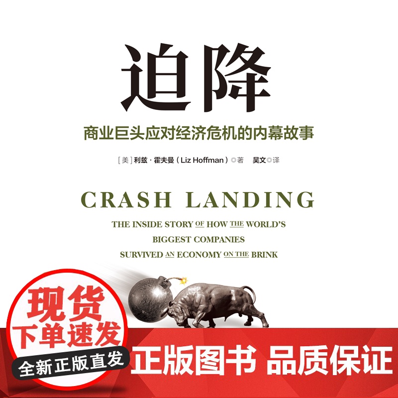 迫降 商业巨头应对经济危机的内幕故事 利兹 霍夫曼著 渴望在危机中生存的人都应该读读这本书 中信出版社图书 正版高清大图
