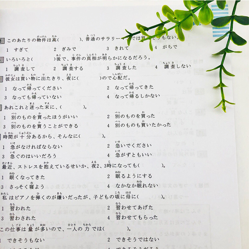 [正版]日语n3 红蓝宝书 日语红宝书文字词汇+蓝宝书文法详解练习新日本语能力考试三级n3单词语法书日语考试 日语书籍高清大图