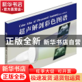 超声解剖彩色图谱