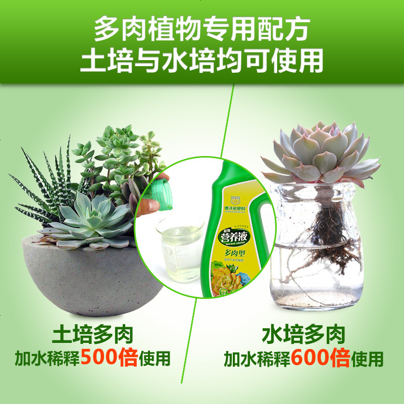 德沃多植物营养液600ml多肉专用桃蛋肉肉花卉花肥盆栽土水培通用