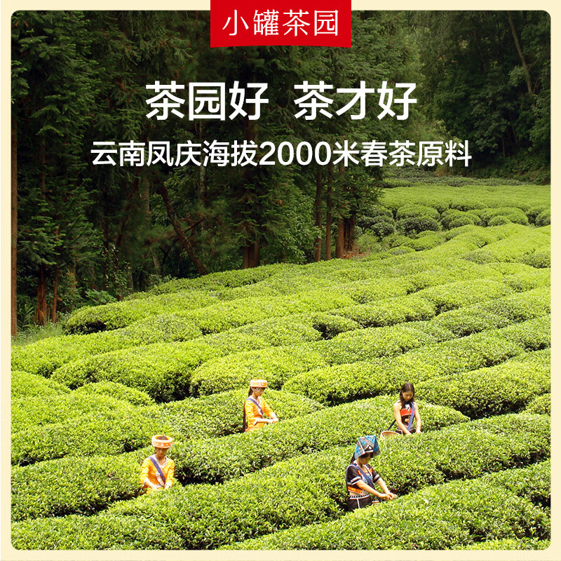 小罐茶(XIAO GUAN TEA) 小罐茶园彩标系列滇红茶2.0版105g/罐高清大图