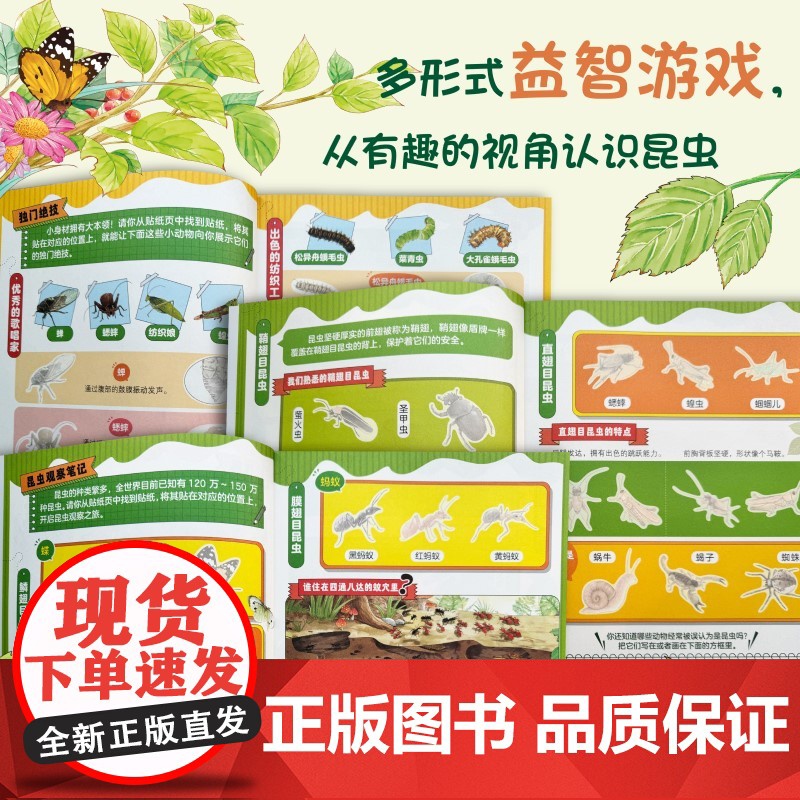 昆虫世界1000个奇趣贴纸全收藏 昆虫大明星高清大图
