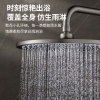 SEREN HOME 赛恩卫浴淋浴花洒套装卫生间满天星大顶喷置物含喷枪淋浴器洗澡龙头