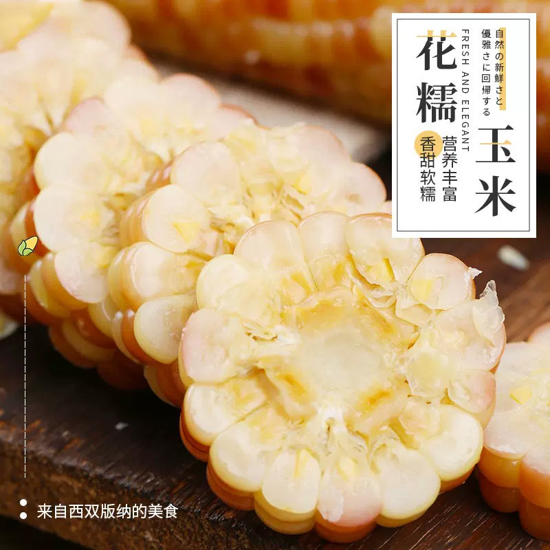 [西沛生鲜]云南新鲜拇指玉米 香糯小玉米 净重8斤 黏玉米甜糯玉米袋装粘玉米黄糯玉米现摘高清大图