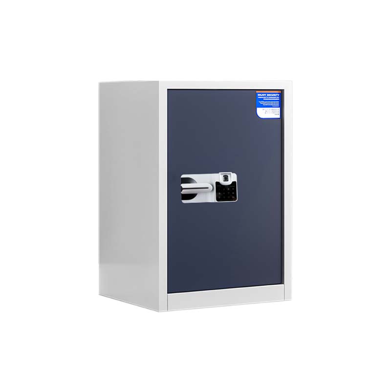 DXBG保密柜财务档案柜文件柜办公室资料储物柜保险柜单门白灰-国保指纹锁高清大图