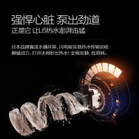 万和（Vanward）JSQ25-13L6 13升循环热水 直流水泵 静音抗风 水气双调恒温燃气热水器(天然气)