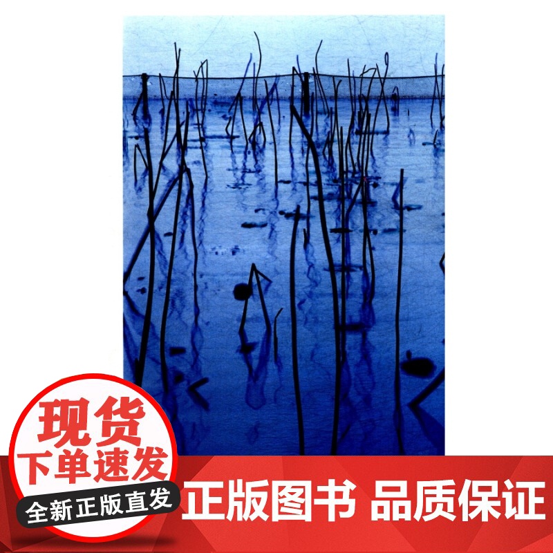诗意西湖 潘海红摄影集上海人民美术出版社高清大图