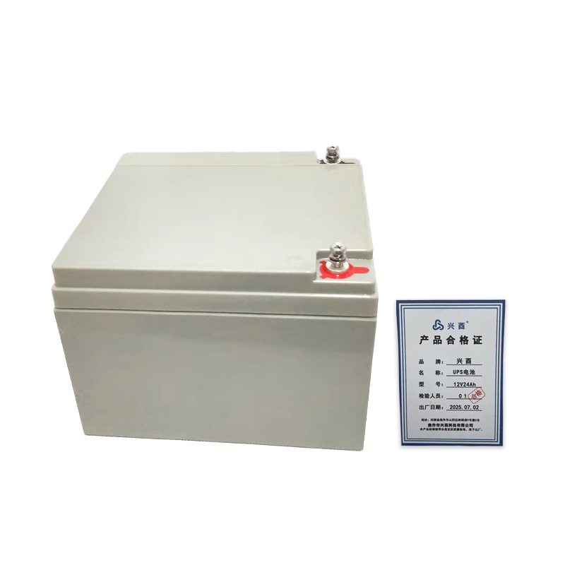 兴酉 UPS电池 12V24Ah 节高清大图