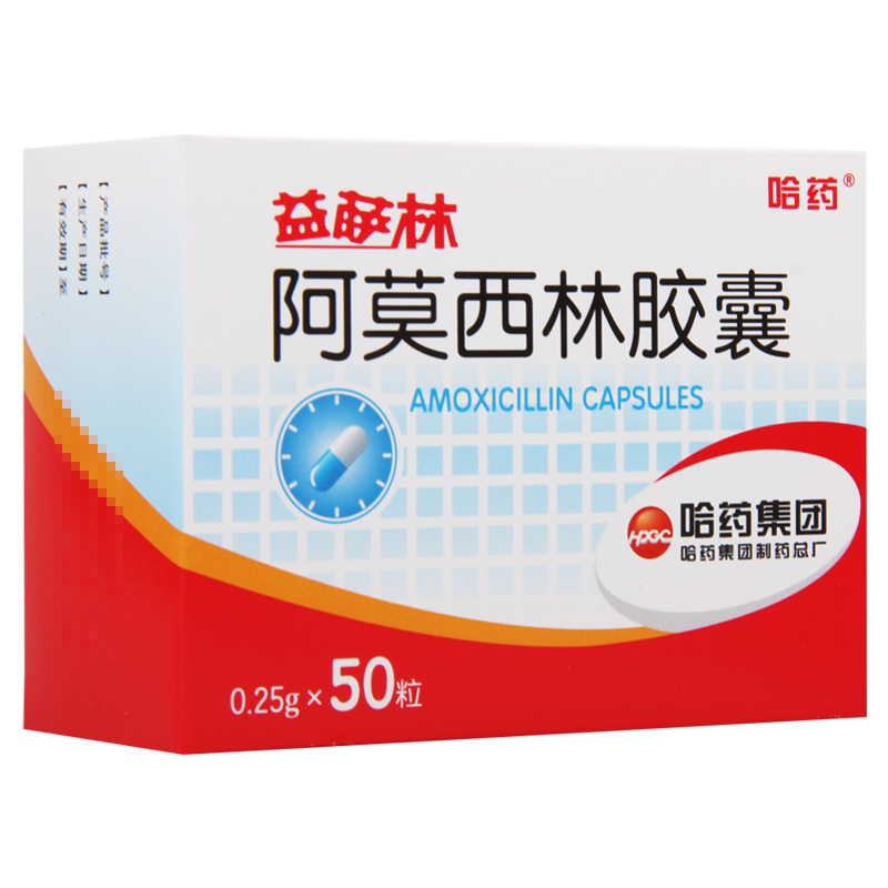 哈药 益萨林 阿莫西林胶囊 0.25g*50粒/盒高清大图