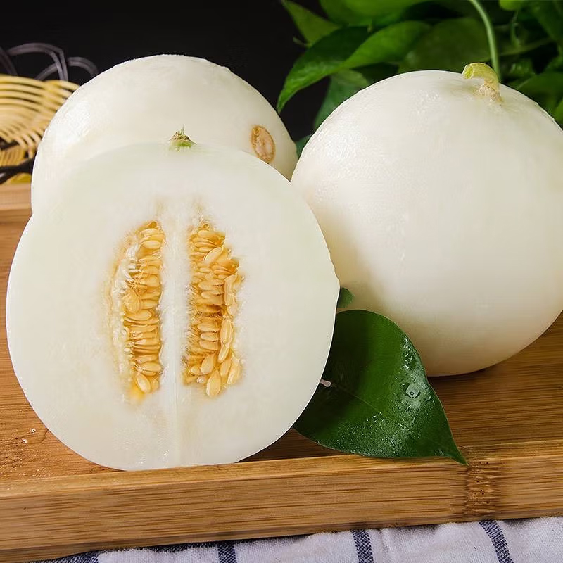 【熊猫鸟】新鲜陕西甜瓜 净重4.5斤 应季水果