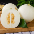 【熊猫鸟】新鲜陕西甜瓜 白肉 净重4.5斤 应季水果