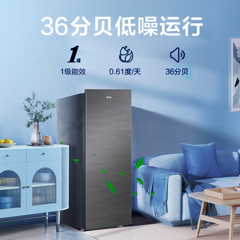 Haier海尔冷柜 立式冰柜 138升家用小型冷柜 黑金净化抗菌 无霜 1级能效 冻藏转换零下-24度深冷低温单温冰柜高清大图