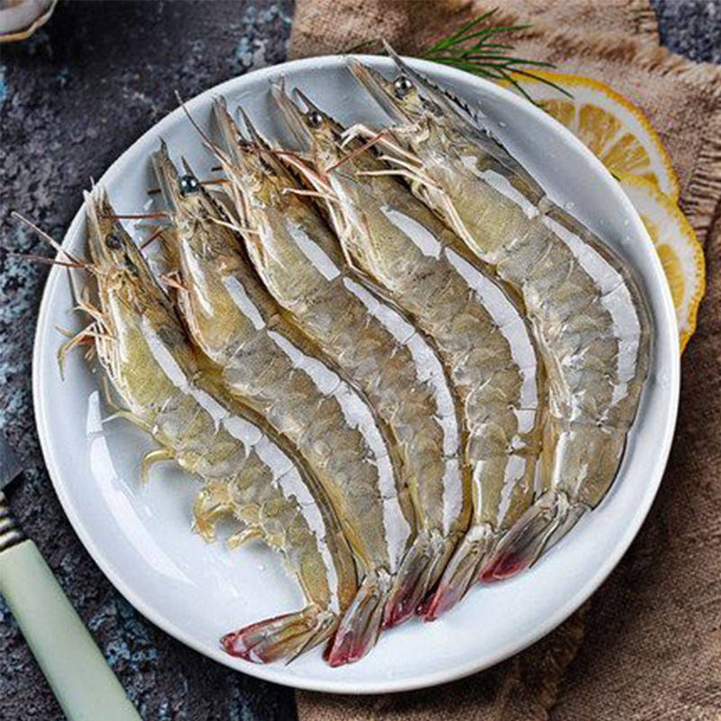 赛卡伊新鲜海捕大虾活虾鲜冻急冻特大号海水大对虾海虾速冻冷冻500g