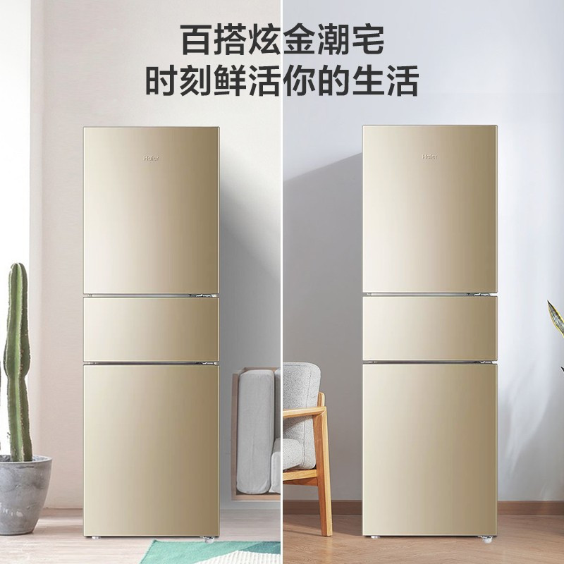 海尔冰箱 BCD-216WMPT