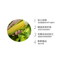 嘉宝(Gerber)婴幼儿辅食 甜薯玉米混合蔬菜泥 2段 113g*2 盒/组 罐装226g 6个月以上