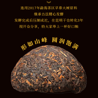 5沱/条共500g 新益号 三年干仓普洱茶 云南古树普洱茶熟茶叶 盒装 普洱沱茶 小沱茶