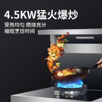 速热奇集成灶蒸烤消 一体燃气灶油烟机蒸箱烤箱消毒柜蒸烤一体SRQ-9319
