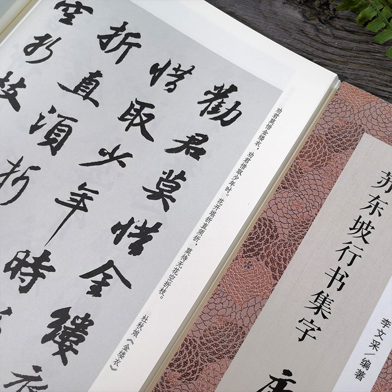 [正版]苏东坡行书集字唐诗一百首 收录苏轼行书经典碑帖集字古诗词毛笔书法作品范本集临摹教程书籍 黄州寒食帖赤壁赋洞庭春