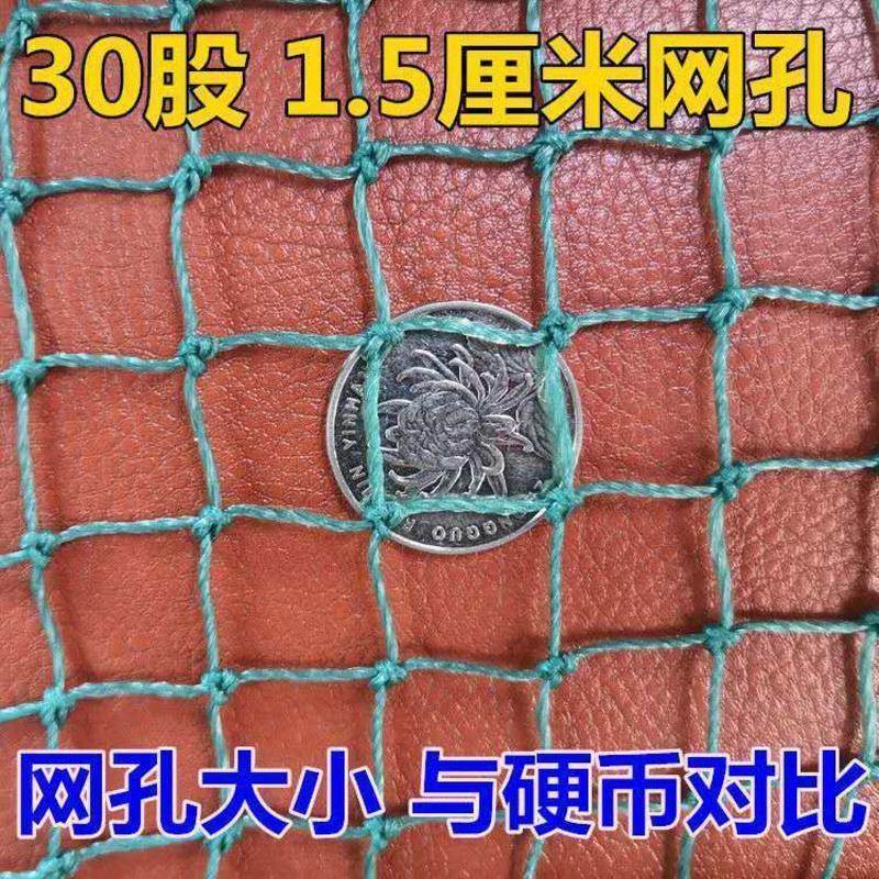 渔网网片水产养殖网聚乙烯抬网拉网防鸟网养鸡网果园防鸟天网网片 12股3厘米网孔 1米宽10米长