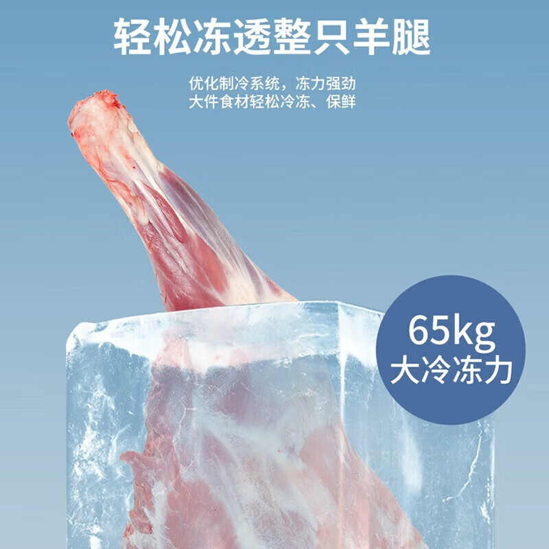 星星(XINGX) BD/BC-518GS冰柜家用商用大容量冷藏冷冻转换单温冷柜一级能效节能卧式冰箱保鲜柜