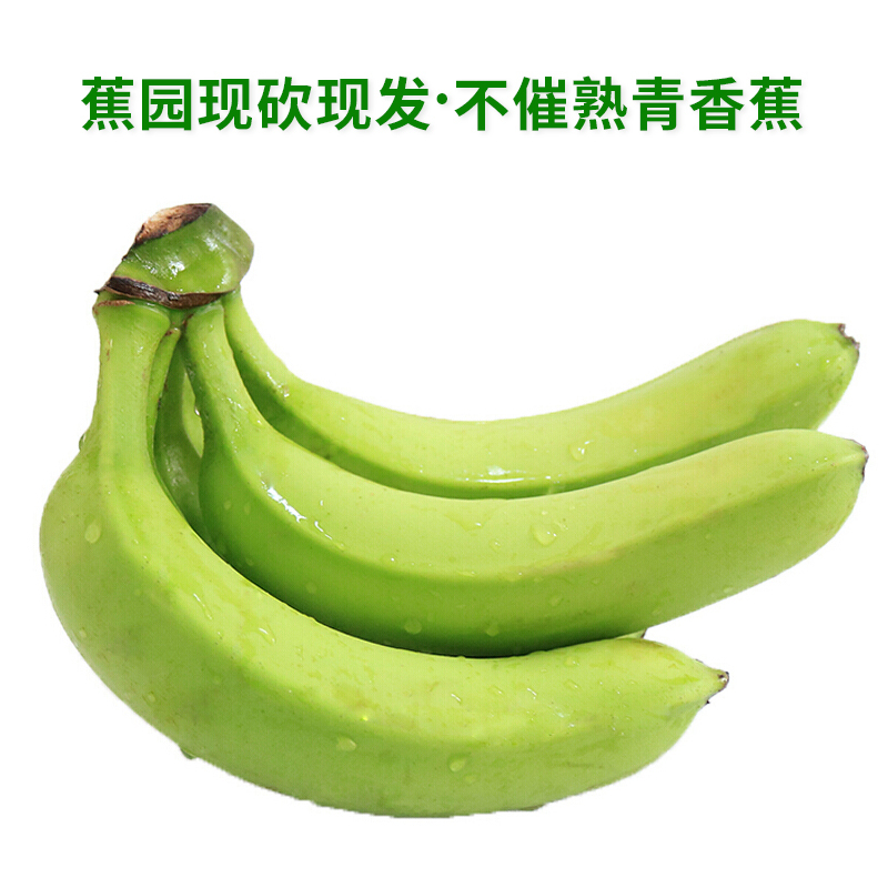 香蕉5斤装青香蕉不催熟香蕉高州新鲜香蕉 .