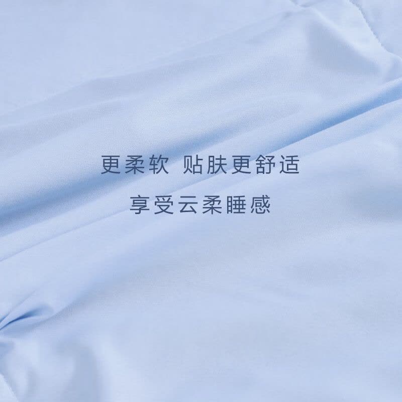 罗曼罗兰(ROMROL)春夏新款夏被 抗菌水洗蛋白夏被 海沫 150*200CM图片