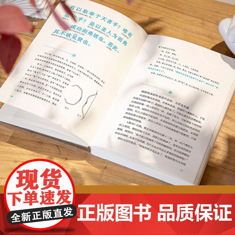 道德经 帛书版 全本全译全析 马王堆帛书底本 原文超大字+随文白话翻译+逐篇逐句解析 轻松读懂原貌《道德经》三高清大图
