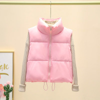 年秋冬新款时尚短款保暖百搭立领羽绒棉服马甲女韩版显瘦外套 L 粉色