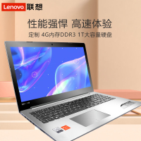 联想（Lenovo）ideapad320 15.6英寸轻薄本学生娱乐手提商务办公笔记本电脑 N4200 8GB 1TB+128GB AMD R5-2G独显 银色 定制版