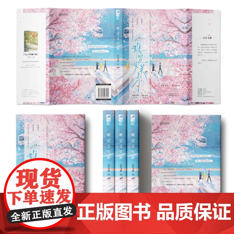 正版 难定义关系 白日飞鸦著 青春文学青梅竹马破镜重圆校园暗恋HE言情小说书籍高清大图