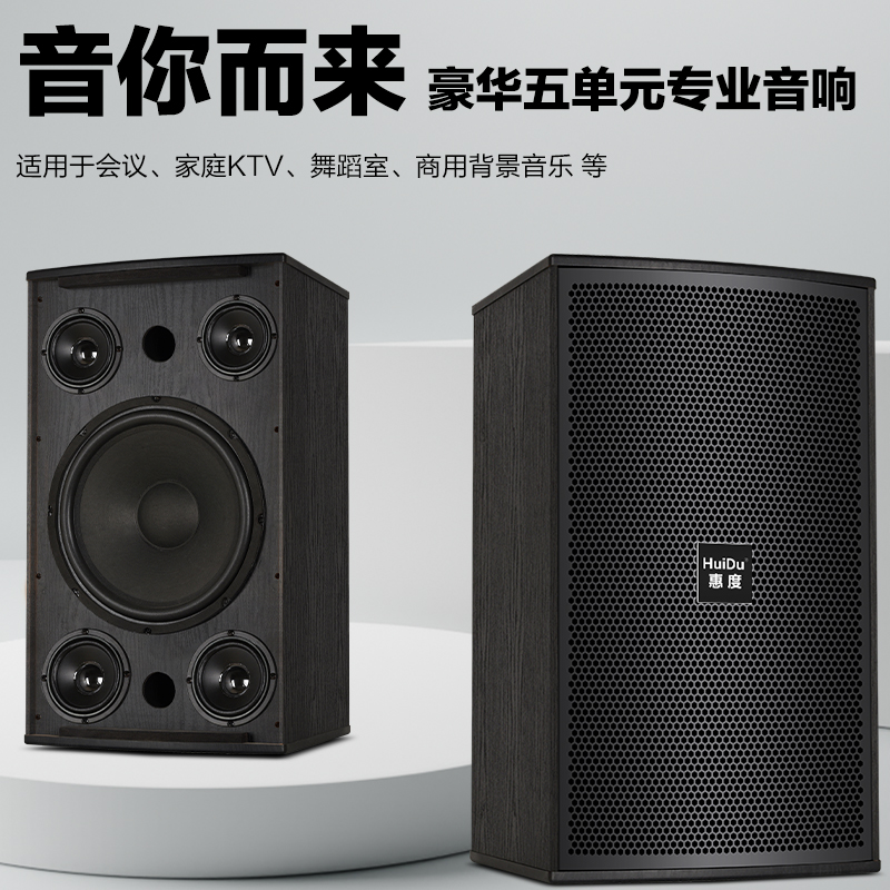 惠度(HuiDu)K-110专业家庭影院KTV音响HIFI高保真舞蹈室教室背景音乐会议培训室卡包音箱高清大图